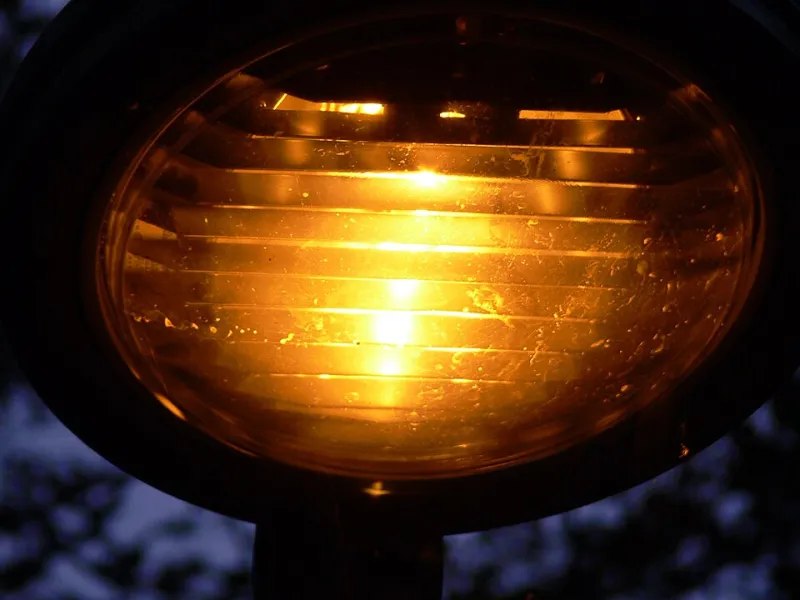 When Darkness Disappears: How Artificial Light Is Disrupting Wildlife at EC Wildlife Refuge and What Communities Can Do About It