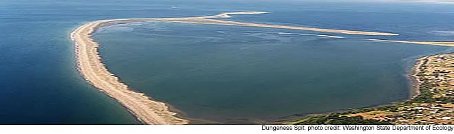 Drowned Out: How the Rising Tide of Human Noise Is Silencing Wildlife at EC Wildlife Refuge