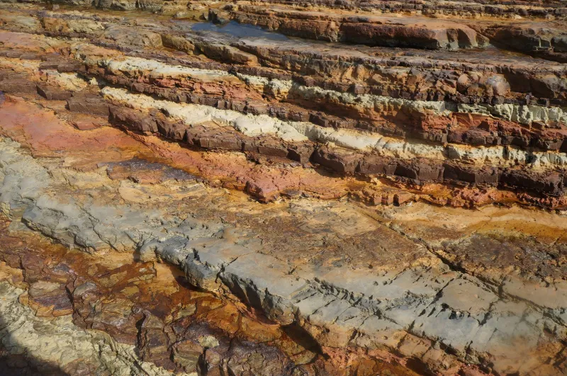Reading the Ground Beneath Your Feet: What Soil Layers Reveal About EC Wildlife Refuge's Ecological History