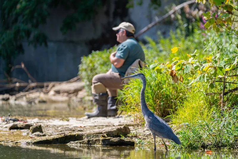 What the Water Knows: Reading Stream Health to Forecast Wildlife Futures at EC Wildlife Refuge