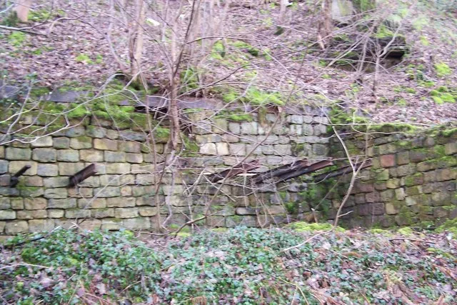 Reclaimed Ground: The Surprising Science of Ecosystems Rising from Industrial Ruins