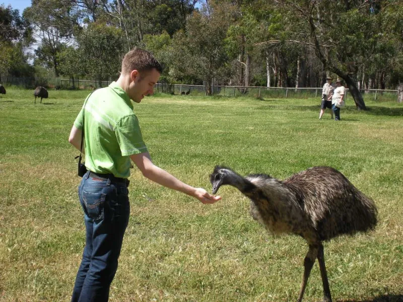 The Kindness That Kills: Why Feeding Wildlife Does More Harm Than Good